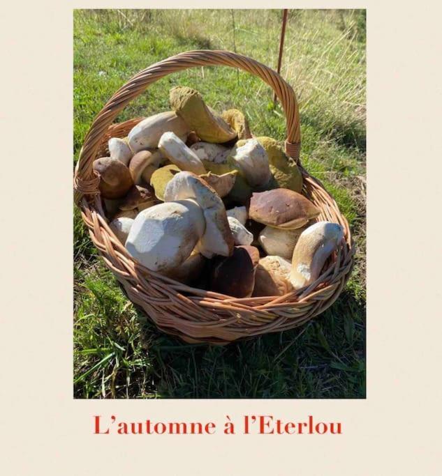 L'Eterlou Authentique Partie De Corps De Ferme 10Pers. Villa Targassonne Kültér fotó